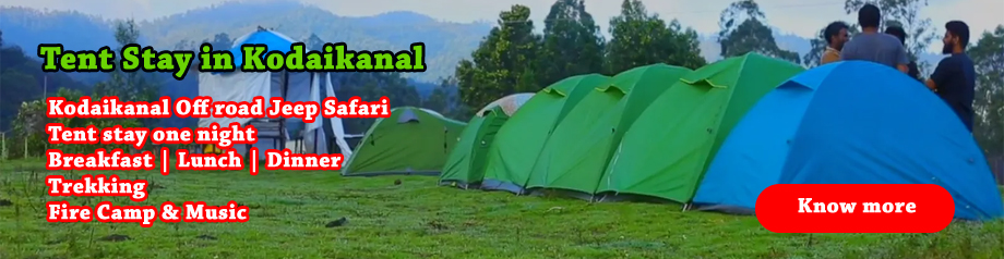 KODAIKANAL ADVENTURE TRIP